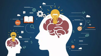 新一届“科技婺商”20强出炉，网络技术咨询助力发展